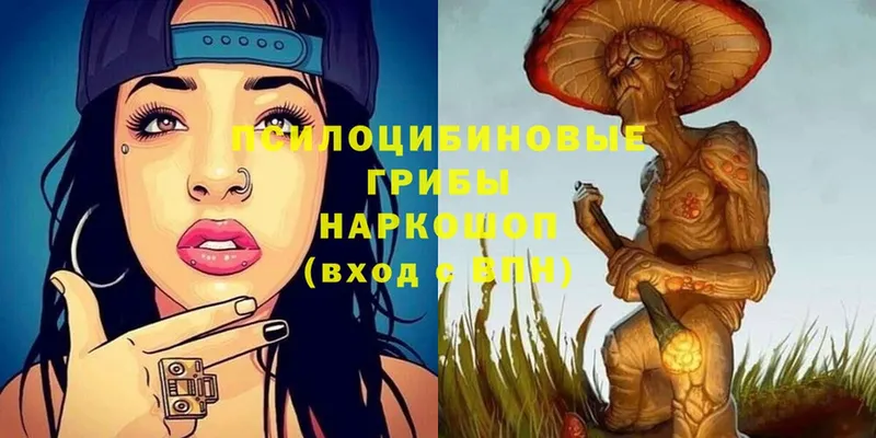 Галлюциногенные грибы Magic Shrooms  Углегорск 